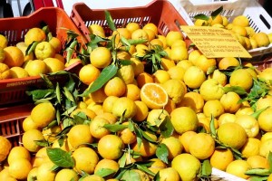Zitronen auf demMarkt